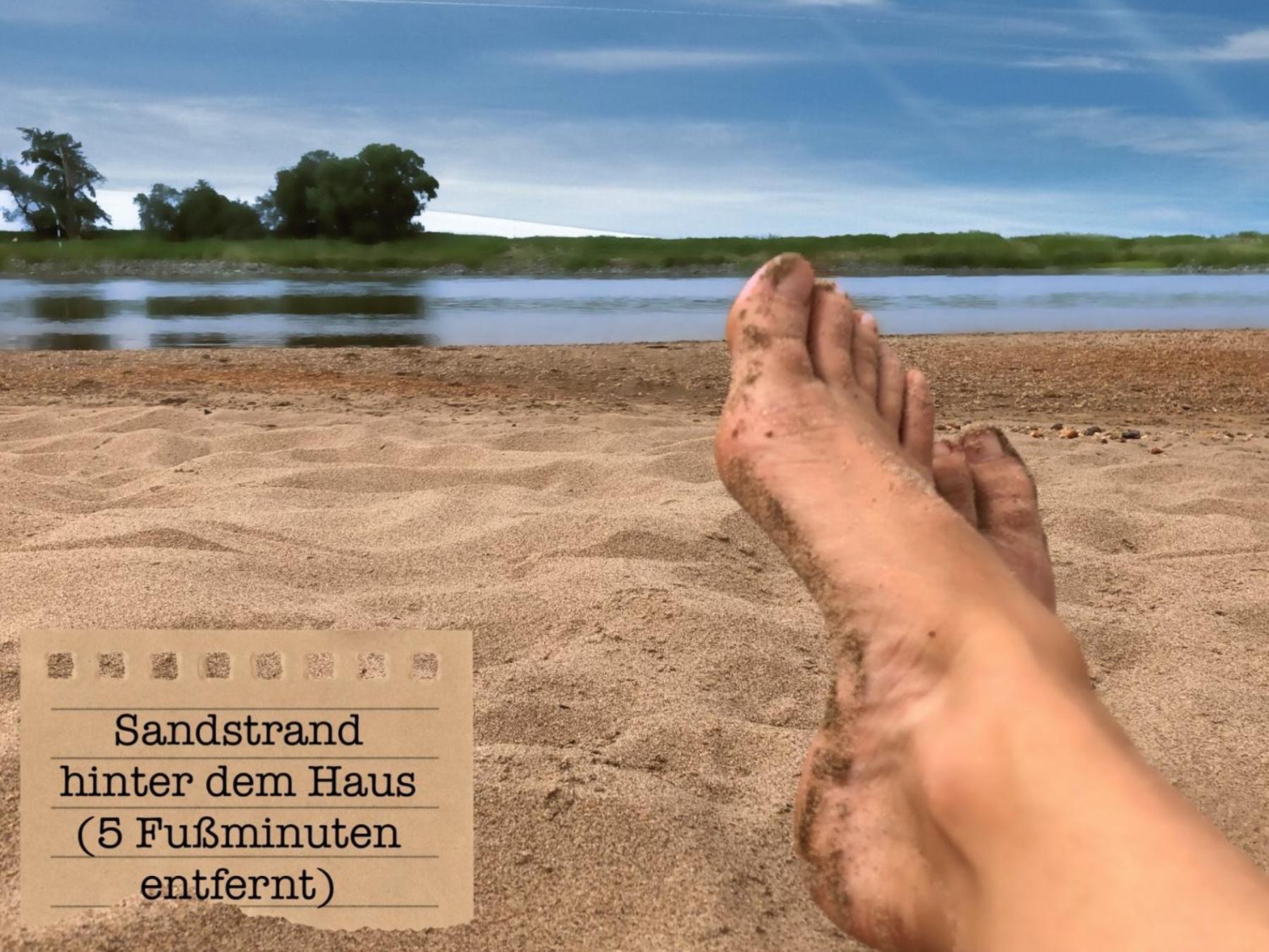 Alte Schule Wittenberg, 3 Ferienwohnungen Fuer Bis Zu 12 Personen, An Der Elbe, Mit Garten מראה חיצוני תמונה