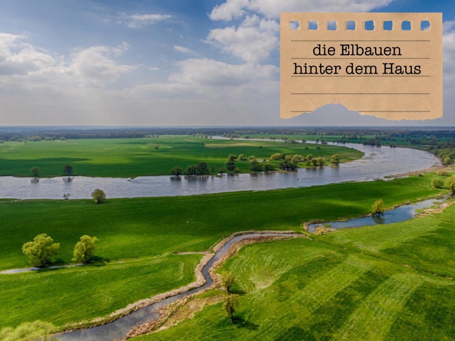 Alte Schule Wittenberg, 3 Ferienwohnungen Fuer Bis Zu 12 Personen, An Der Elbe, Mit Garten מראה חיצוני תמונה