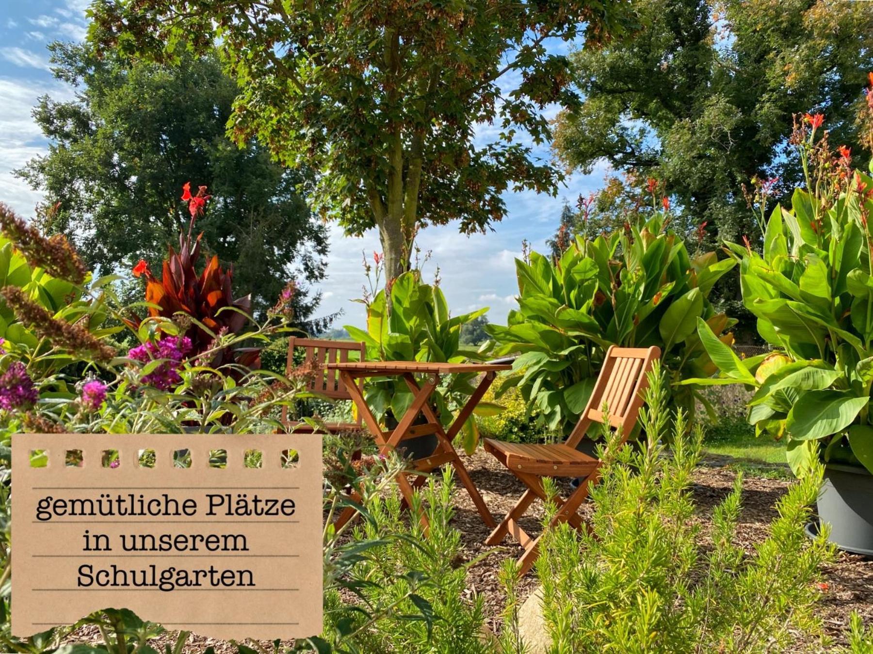 Alte Schule Wittenberg, 3 Ferienwohnungen Fuer Bis Zu 12 Personen, An Der Elbe, Mit Garten מראה חיצוני תמונה