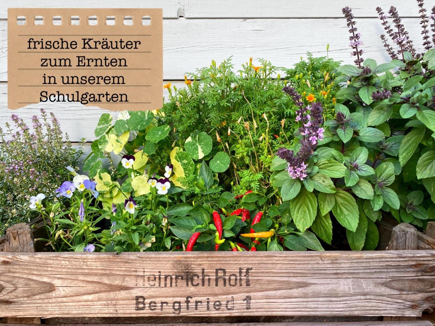 Alte Schule Wittenberg, 3 Ferienwohnungen Fuer Bis Zu 12 Personen, An Der Elbe, Mit Garten מראה חיצוני תמונה