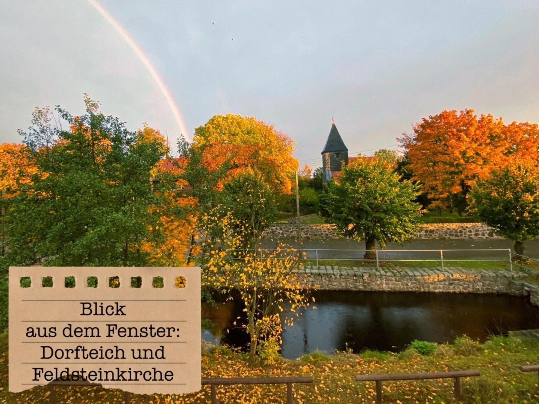 Alte Schule Wittenberg, 3 Ferienwohnungen Fuer Bis Zu 12 Personen, An Der Elbe, Mit Garten מראה חיצוני תמונה
