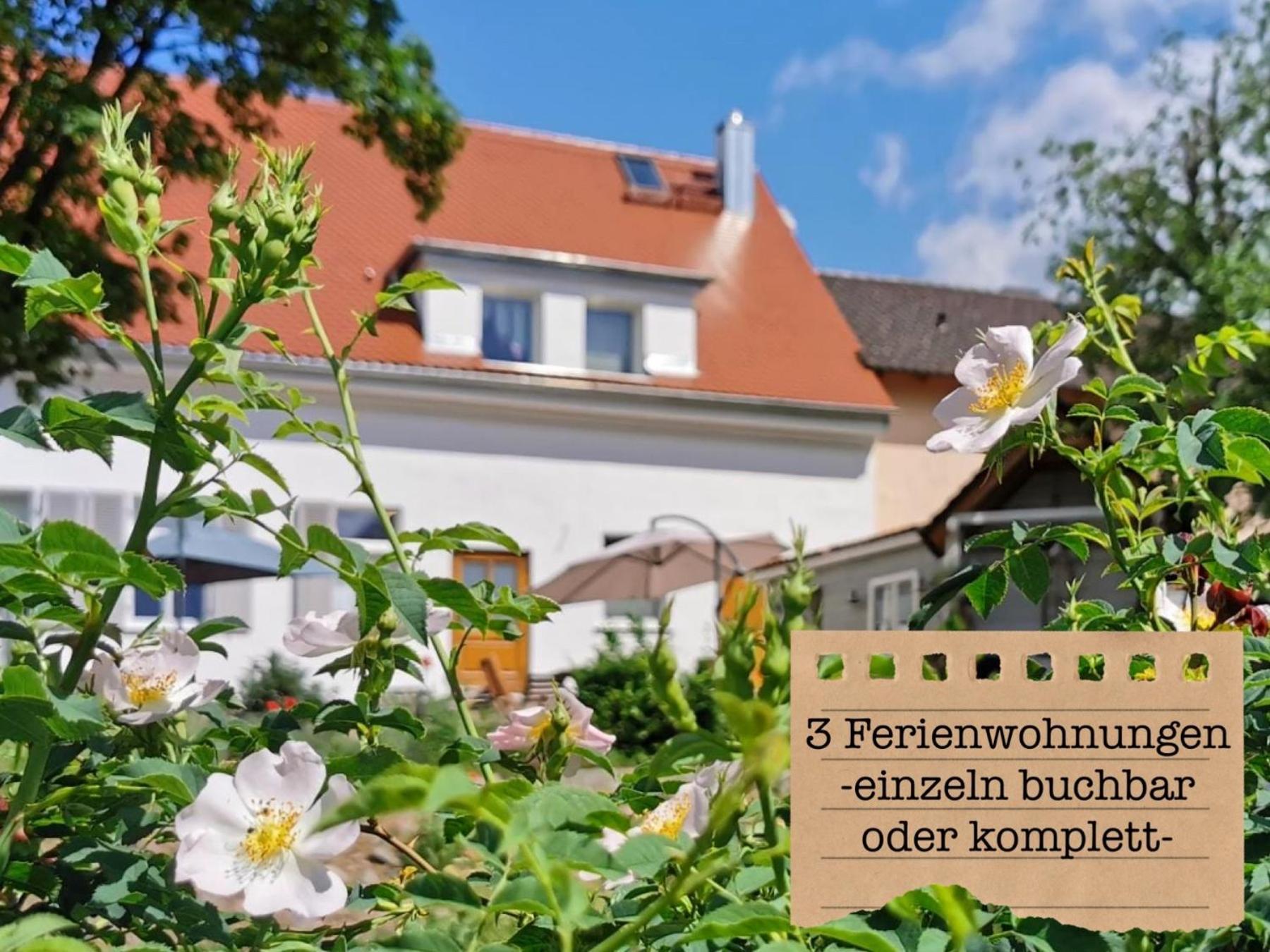 Alte Schule Wittenberg, 3 Ferienwohnungen Fuer Bis Zu 12 Personen, An Der Elbe, Mit Garten מראה חיצוני תמונה