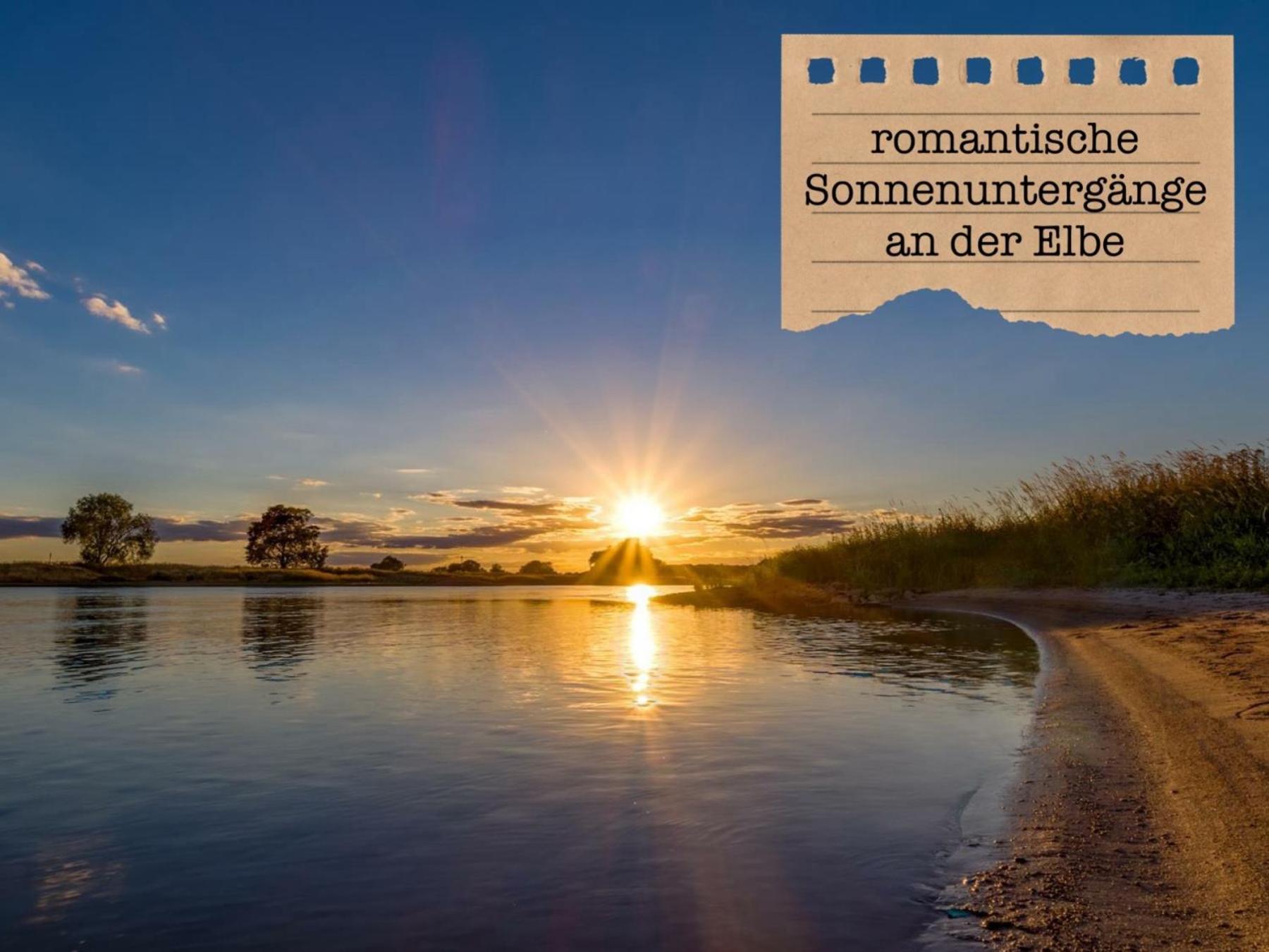 Alte Schule Wittenberg, 3 Ferienwohnungen Fuer Bis Zu 12 Personen, An Der Elbe, Mit Garten מראה חיצוני תמונה