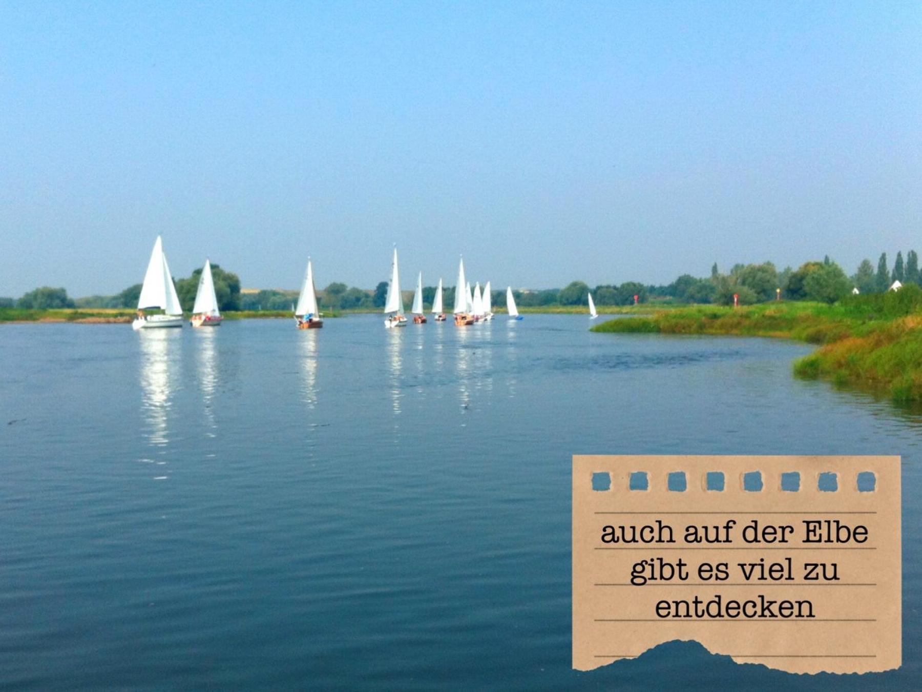 Alte Schule Wittenberg, 3 Ferienwohnungen Fuer Bis Zu 12 Personen, An Der Elbe, Mit Garten מראה חיצוני תמונה