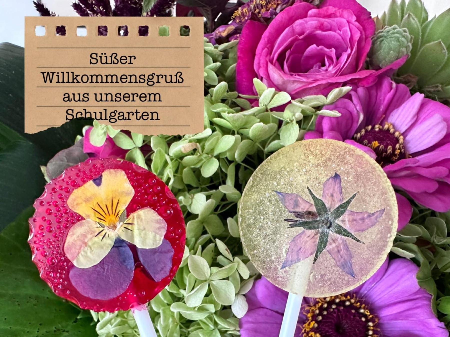 Alte Schule Wittenberg, 3 Ferienwohnungen Fuer Bis Zu 12 Personen, An Der Elbe, Mit Garten מראה חיצוני תמונה